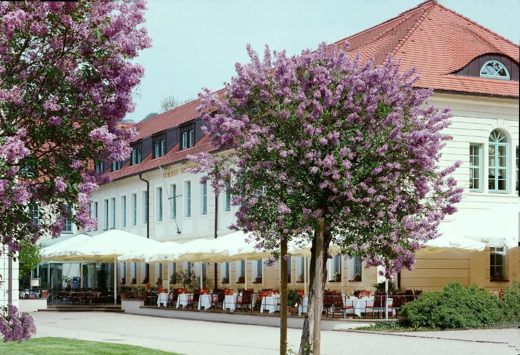 Schloss Hotel Dresden Pillnitz